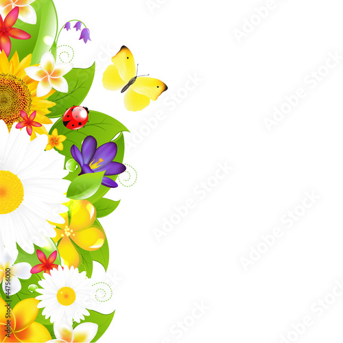 Fototapeta Naklejka Na Ścianę i Meble -  Summer Flowers And Leaf Border