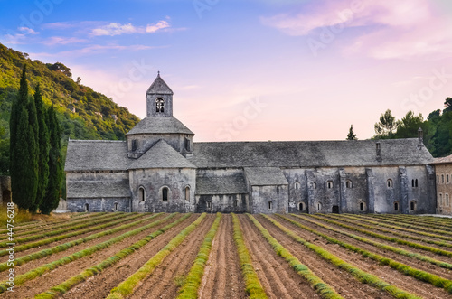 Abbaye de Senanque in Provence before sunset