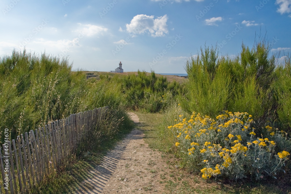 walking pathway to the lighthouse