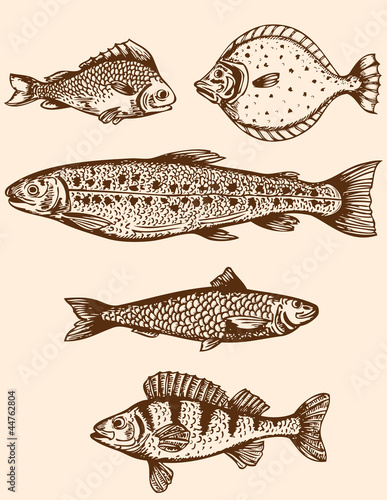 Vintage fish
