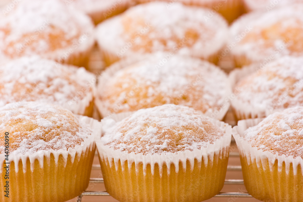 Baked cupcakes with dusting of icing sugar on top. Baked cupcakes with dusting of icing sugar on top.