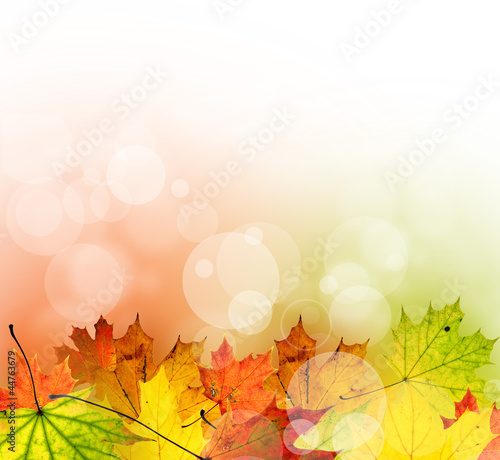 Autumn background