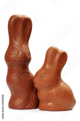 Two chocolate bunny