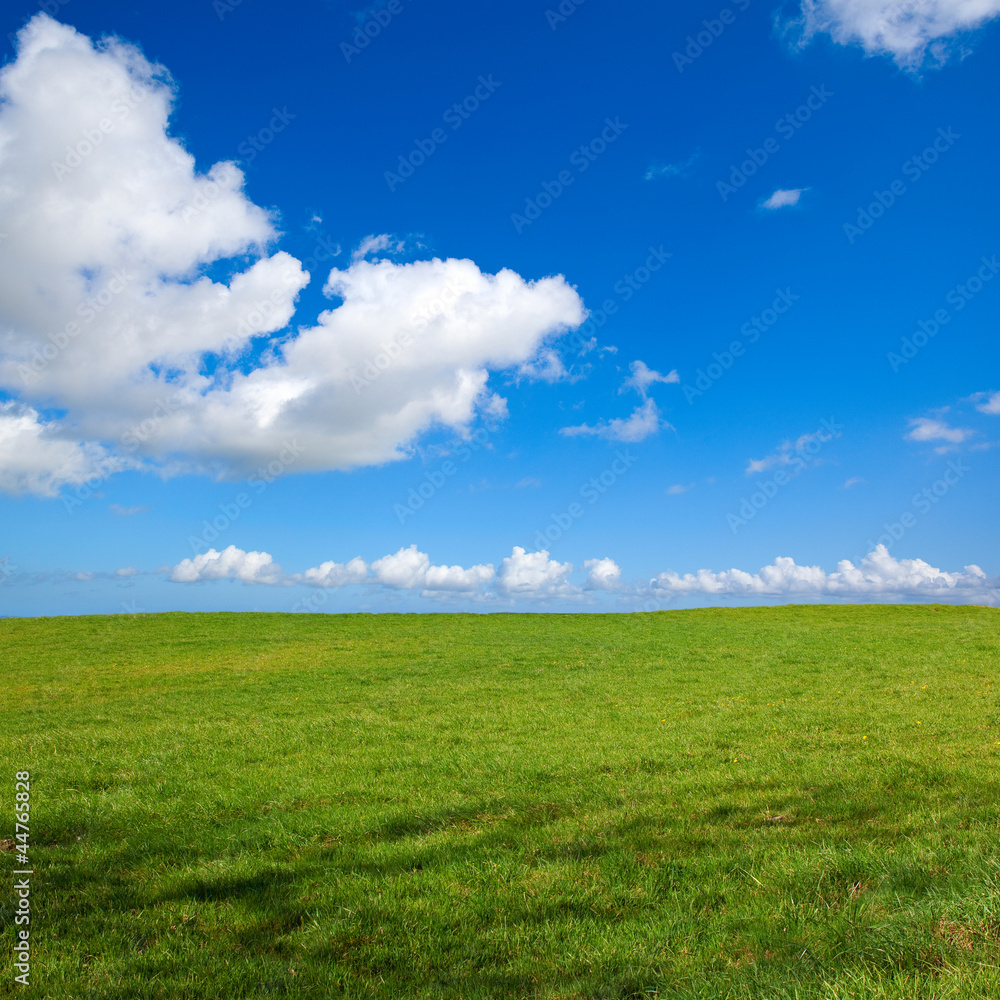 Paysage de campagne