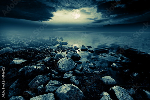 Moonlit lake