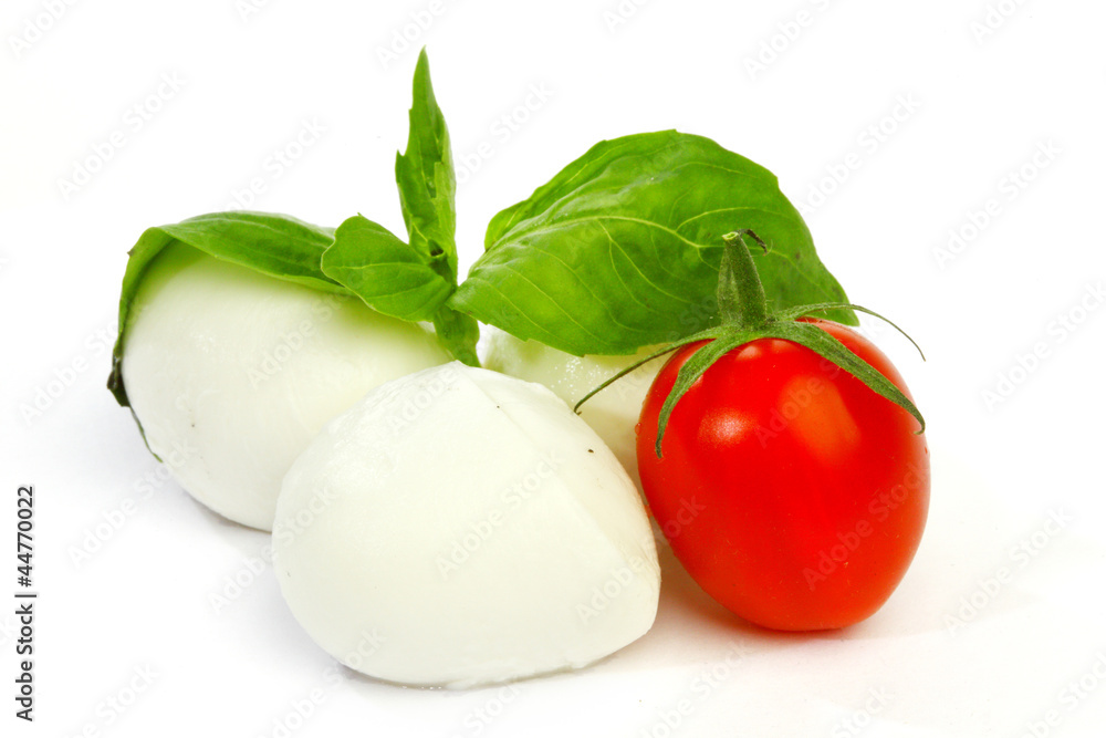 fresh italian mozzarella on white background fresh italian mozzarella on white background