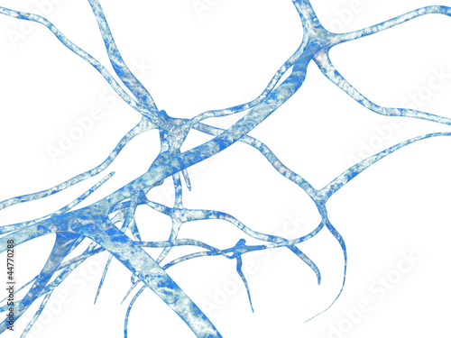 Neurons © Cubitron