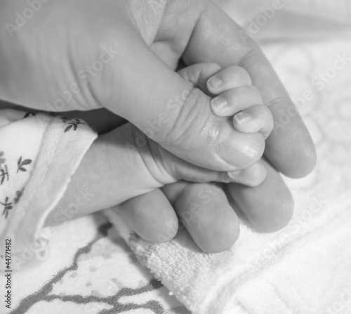 newborn baby hand on a male hand photo