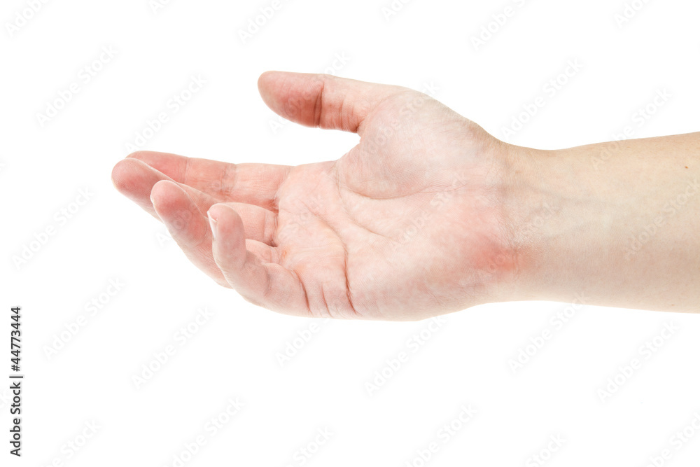 Hand Hand
