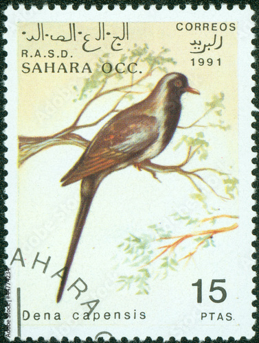 stamp printed in Sahara OCC. R.A.S.D showing bird photo