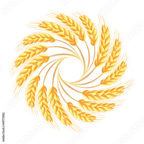 Wheat ears icon