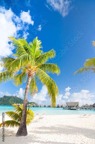 Fototapeta Naklejka Na Ścianę i Meble -  Beautiful beach on Bora Bora