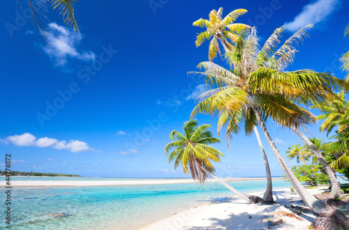Fototapeta Naklejka Na Ścianę i Meble -  Stunning tropical beach