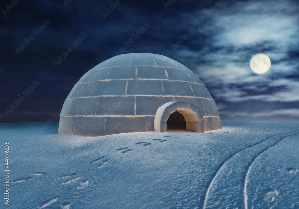 Obraz premium Igloo