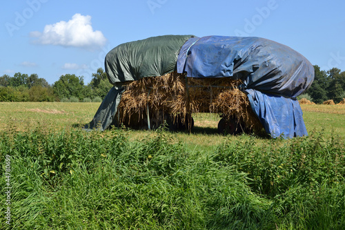 Trailer with straw. photo