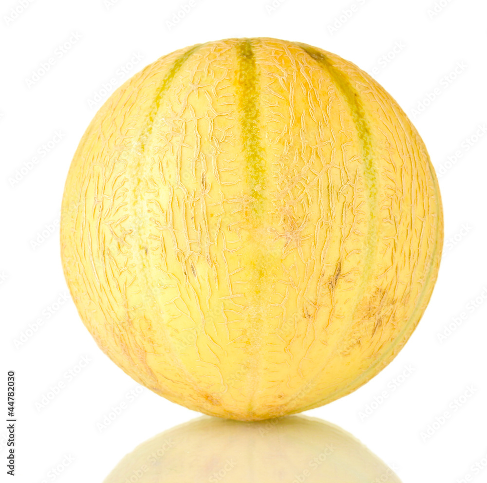 sweet melon isolated on white background sweet melon isolated on white background
