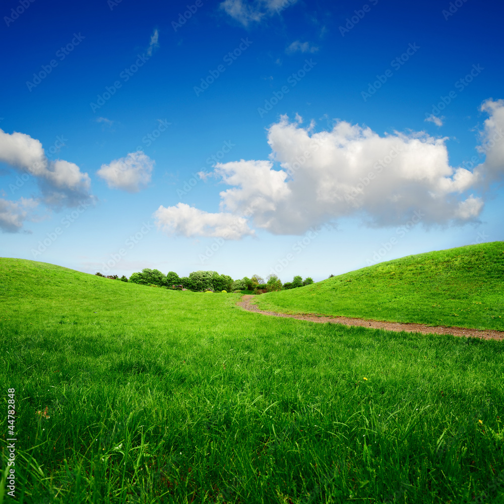 Obraz premium grassy green hills and lane to remote trees