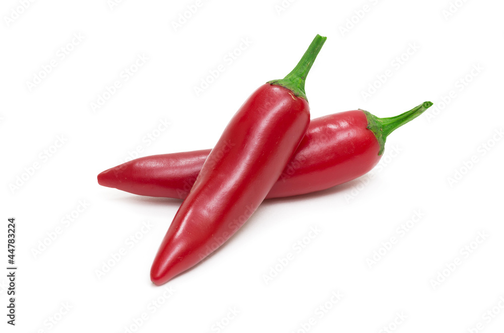chili pepper chili pepper