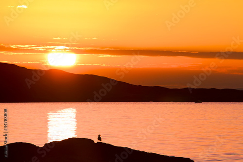 Golden Island Sunset