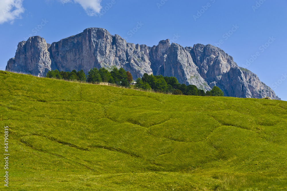Dolomites, the mount Stevia - Italy