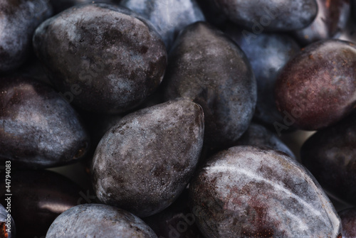 fresh blue plums as food background