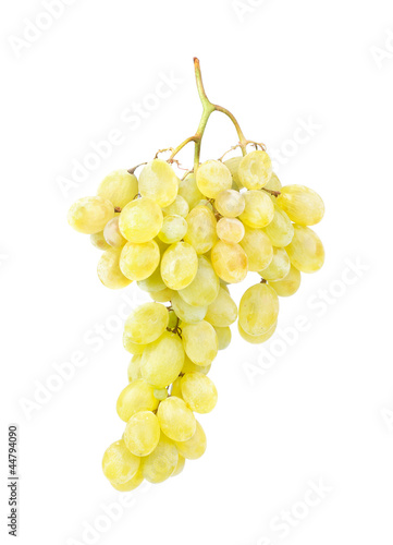 White grapes gsolated on white background