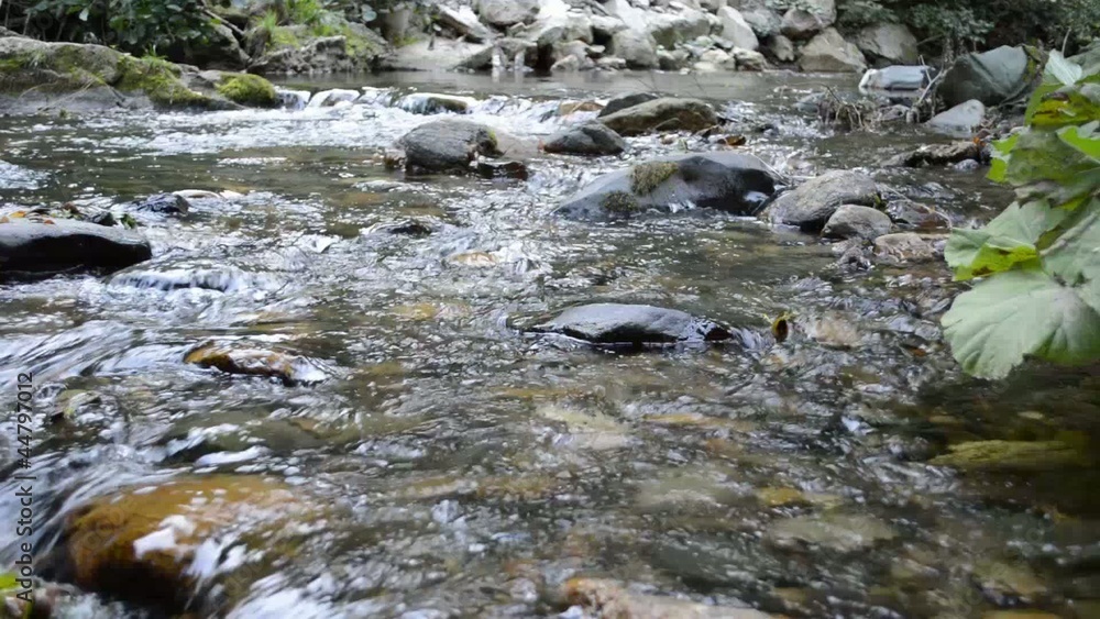 River River