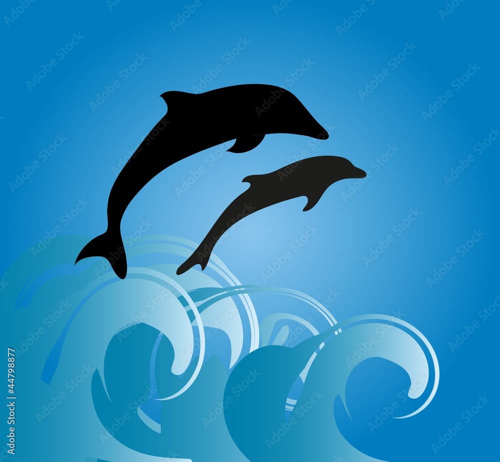 Obraz premium Dolphins