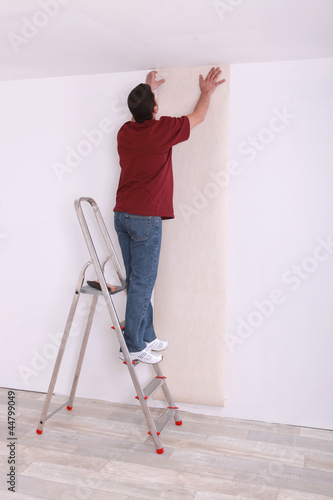 craftsman putting wallpaper © auremar