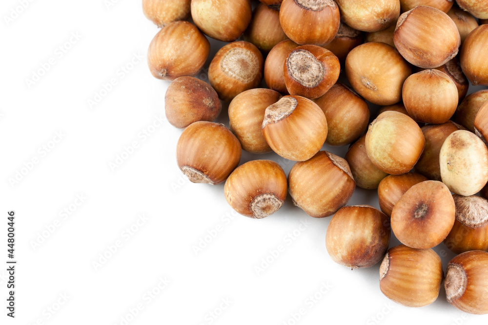 Hazelnuts pile isolated on white background Hazelnuts pile isolated on white background