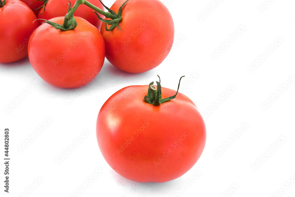 ripe red tomatoes ripe red tomatoes