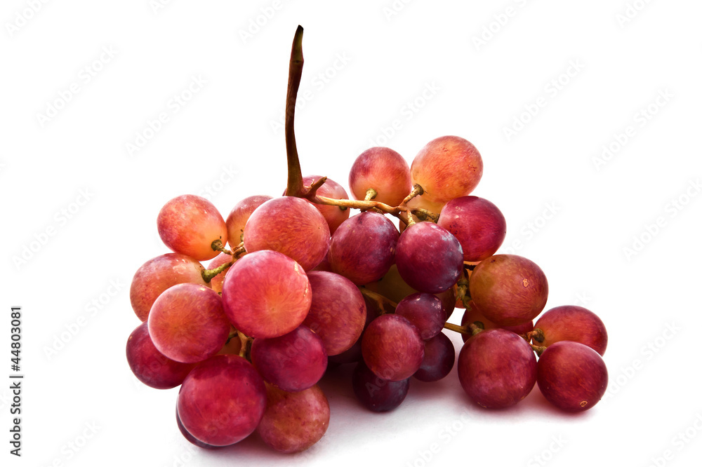 branch of ripe grapes