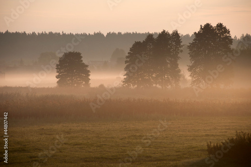 poranek na wsi © agnieszkalll