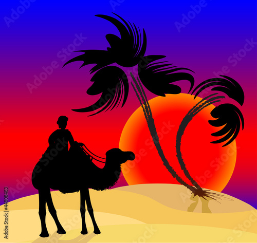 Silhouette illustration of a cameleer in the desert