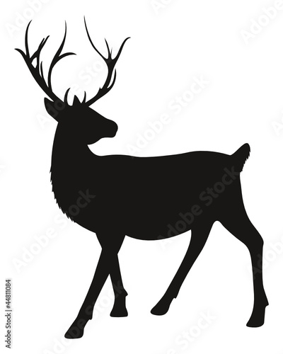 Hirsch