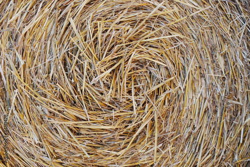 paille en botte agrandi, fond, texture