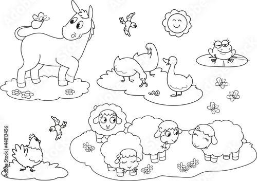 Coloring farm animals for children