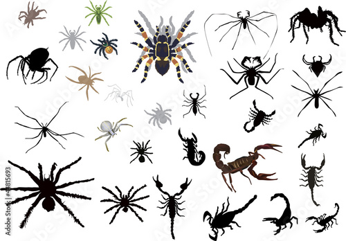set of spiedrs and scorpions isolated on white © Alexander Potapov
