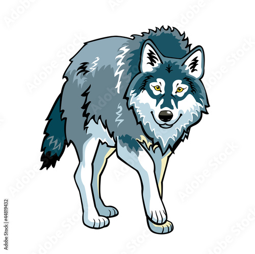 standing grey wolf