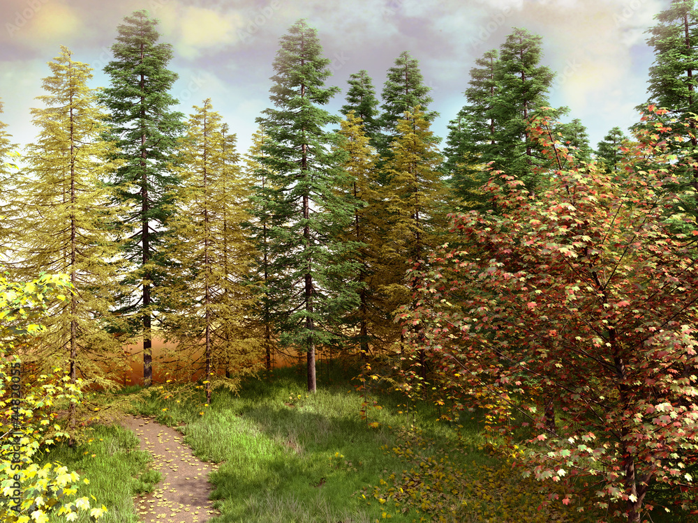 Obraz premium Jesienne drzewa