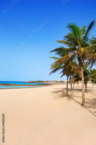 Arrecife Lanzarote Playa Reducto beach palm trees