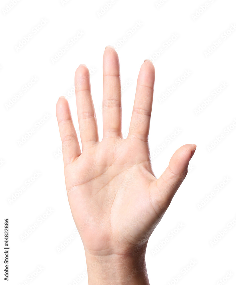 hand symbol hand symbol