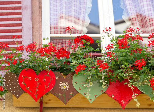 Fototapeta Naklejka Na Ścianę i Meble -  My beautiful Home - Mein Zuhause