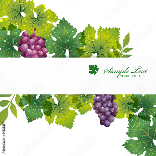 grape background
