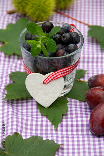 Heidelbeeren Erntezeit
