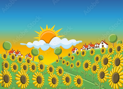 Sunset over beautiful sunflowers field on green hill with houses