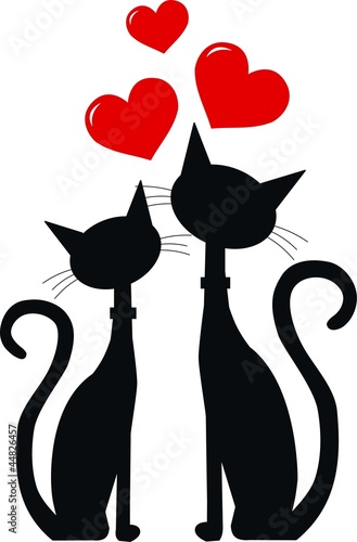 two black cats in love