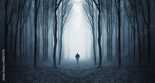 Silhouette of lone man in forest