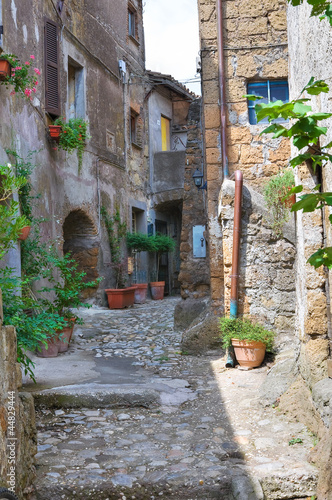 Fototapeta Naklejka Na Ścianę i Meble -  Alleyway. Calcata. Lazio. Italy.