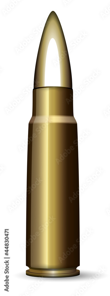 vector cartridge vector cartridge